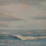 Seagull Diving painting