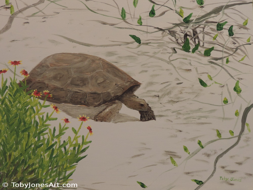 Blanketflower Tortoise Painting