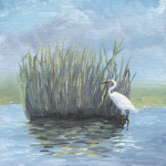 Egret in the Reeds